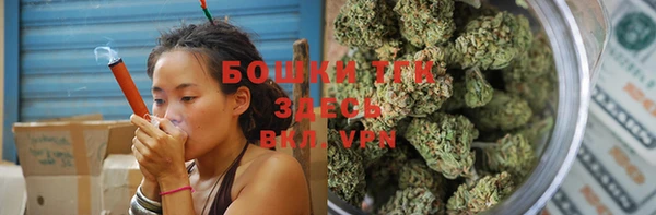 дурь Гусиноозёрск