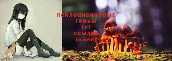 дурь Гусиноозёрск