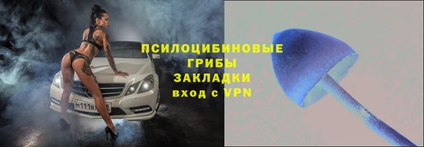 дурь Гусиноозёрск