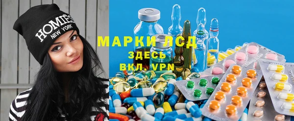 сатива Дмитриев