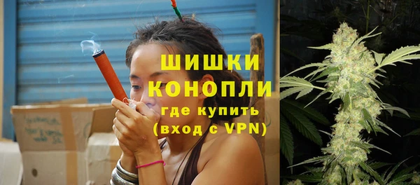 дурь Гусиноозёрск