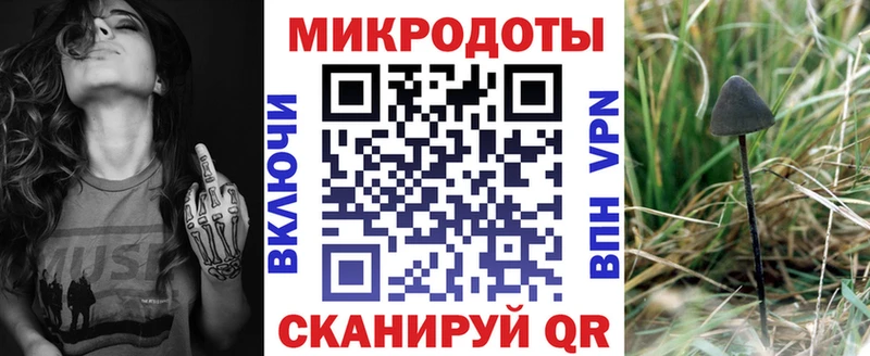 Галлюциногенные грибы Psilocybine cubensis  Кемерово 